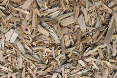 biomass boilers Sands
